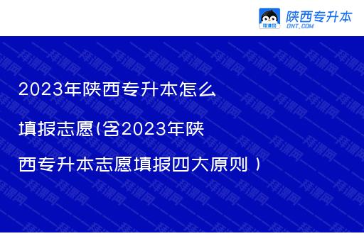 2023年陕西专升本怎么填报志愿(含2023年陕西专升本志愿填报四大原则）