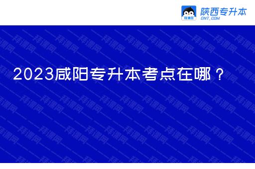 2023年咸阳市专升本考点在哪？