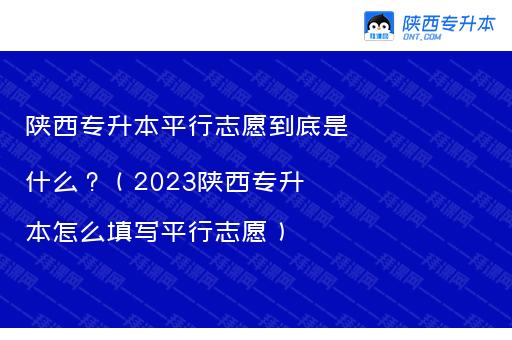 陕西专升本平行志愿到底是什么？（2023陕西专升本怎么填写平行志愿）