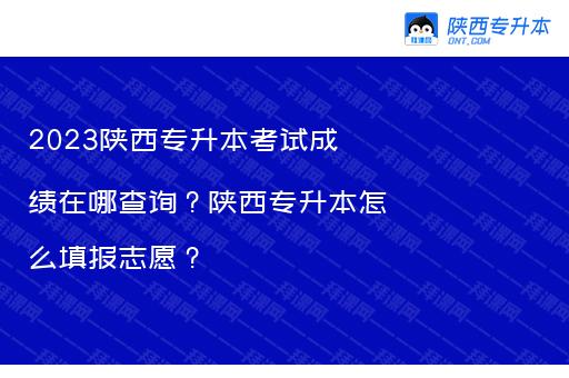 2023陕西专升本考试成绩在哪查询？陕西专升本怎么填报志愿？